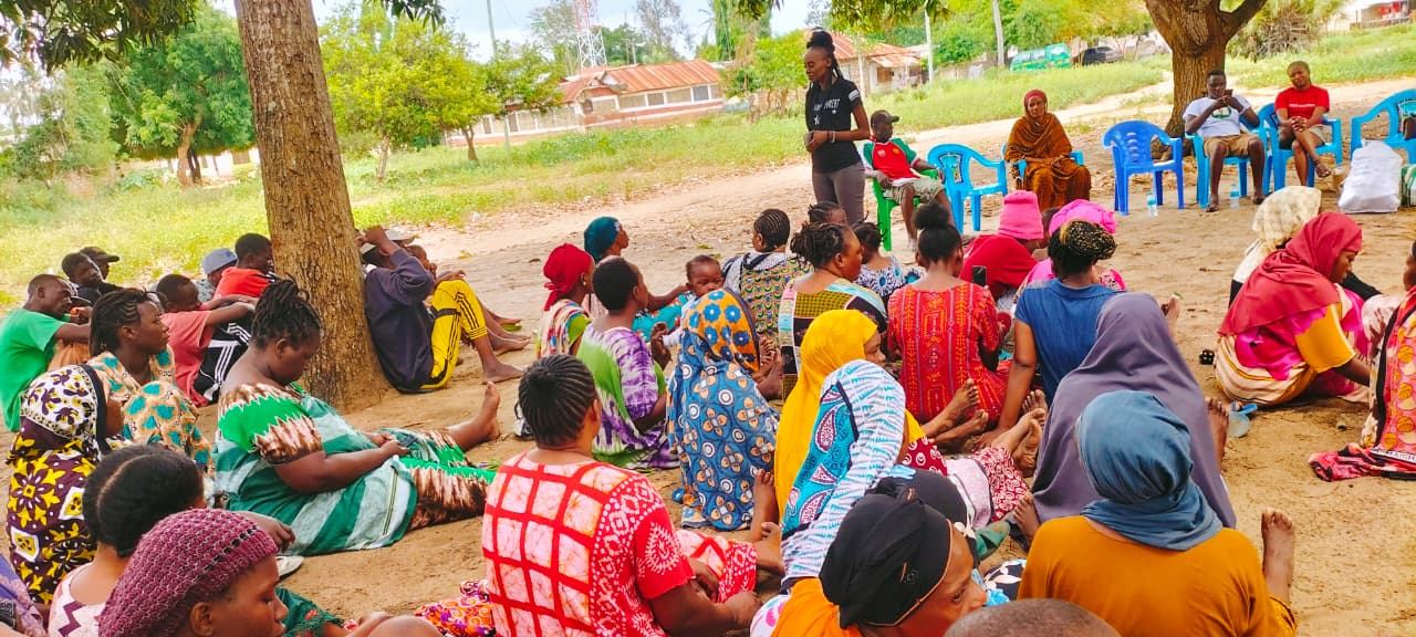 Household Strengthening